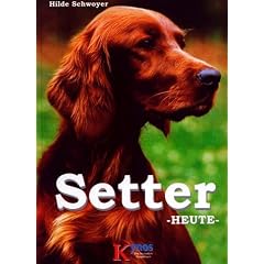Setter heute