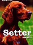 Setter heute