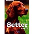 Setter heute