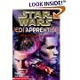The Uncertain Path (Star Wars: Jedi Apprentice, Book 6)