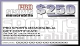 $250 Emailable Gift Certificate