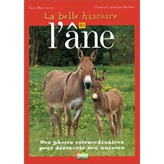 Belle histoire de l'ane (la)