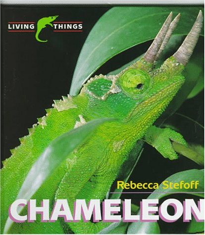 City Travel Guides Discounted  Books : Chameleon
