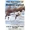 WW2 Fighter Pilot books. My top 16