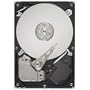 Seagate Barracuda 7200.12 1 TB 7200RPM SATA 6Gb/s with NCQ 32MB Cache 3.5 Inch Internal Bare Drive ST31000524AS