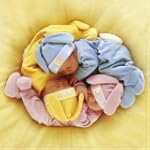 Schmidt Spiele - Anne Geddes, Baby Co...