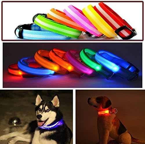LED Flashing Dog Collar - No Battery Required (Blue, Large)