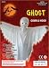 Ghost Halloween Fancy dress costume 10-12yrs