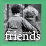 The Wonder of Friends (The Wonder of . . . Series)