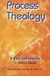Process Theology: A Basic Introduction by C. Robert Mesle