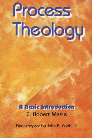 Process Theology: A Basic Introduction under Protestant in The Books Store