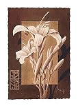 Lily Simphony Art Print by Franz Heigl, 20