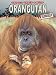 Orangutang (Animals Under Threat) (Animals Under Threat)