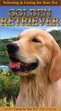 Review   / Selecting and Caring For Your Pet Golden Retriever