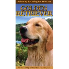 Selecting and Caring For Your Pet Golden Retriever [VHS]