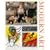 Modern Art: Impressionism to Post-modernism