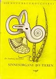 Sinnesorgane bei Tieren