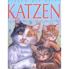 Katzen