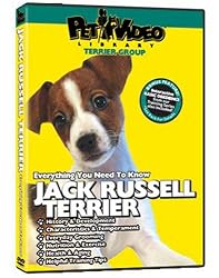 JACK RUSSELL TERRIER DVD: Everything You Should Know + Dog & Puppy Training Bonus