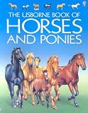 The Usborne Complete Book of Riding & Pony Care (Complete Book of Riding and Pony Care)