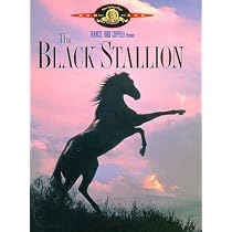 The Black Stallion
