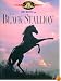 The Black Stallion