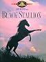 The Black Stallion The Black Stallion