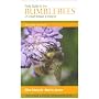 Field Guide to the Bumblebees of Great Britain and Ireland