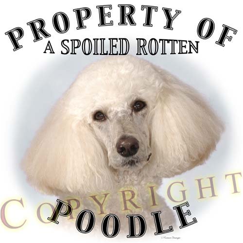 image link -  - B000NPK7XW