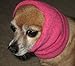 Happy Hoodie - Pink (Small)