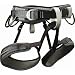 Sporting Goods : Chaos Harness by Black Diamond