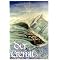 "Esoterische Romane und sonstige spirtuelle B�cher!