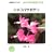 �V���R�o�T�{�e�� (NHK��̉��| �悭�킩��͔|12����)