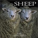Sheep 2004 Calendar-