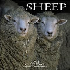Sheep Wall Calendar: 2004