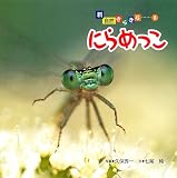 にらめっこ
