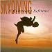 Skydiving, A Multimedia Reference by Dan Poynter
