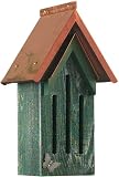 Small Green Copper Top Butterfly House