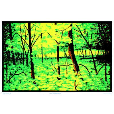 Summer Woods Flocked Blacklight Poster Art Print
