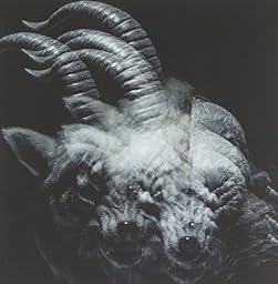 BEAUTIFUL DEFORMITY