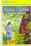 Calico Captive