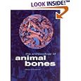 The Archaeology of Animal Bones (Texas a and M University Anthropology) by Terry O'Connor