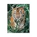 Springbok On The Prowl 500 Piece Jigsaw Puzzle