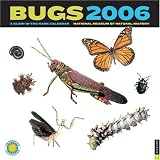 Bugs