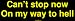 Can't stop now On my way to hell Large Bumper Sticker