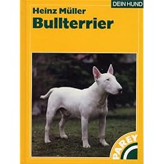 Bullterrier