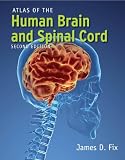 Atlas of the Human Brain and Spinal Cord