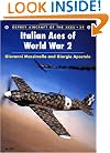 Italian Aces of World War 2 (Osprey Aircraft of the Aces No 34)