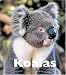 Book Koalas (Naturebooks)