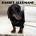 Book Basset Allemand/Dachshunds 2004 Calendar